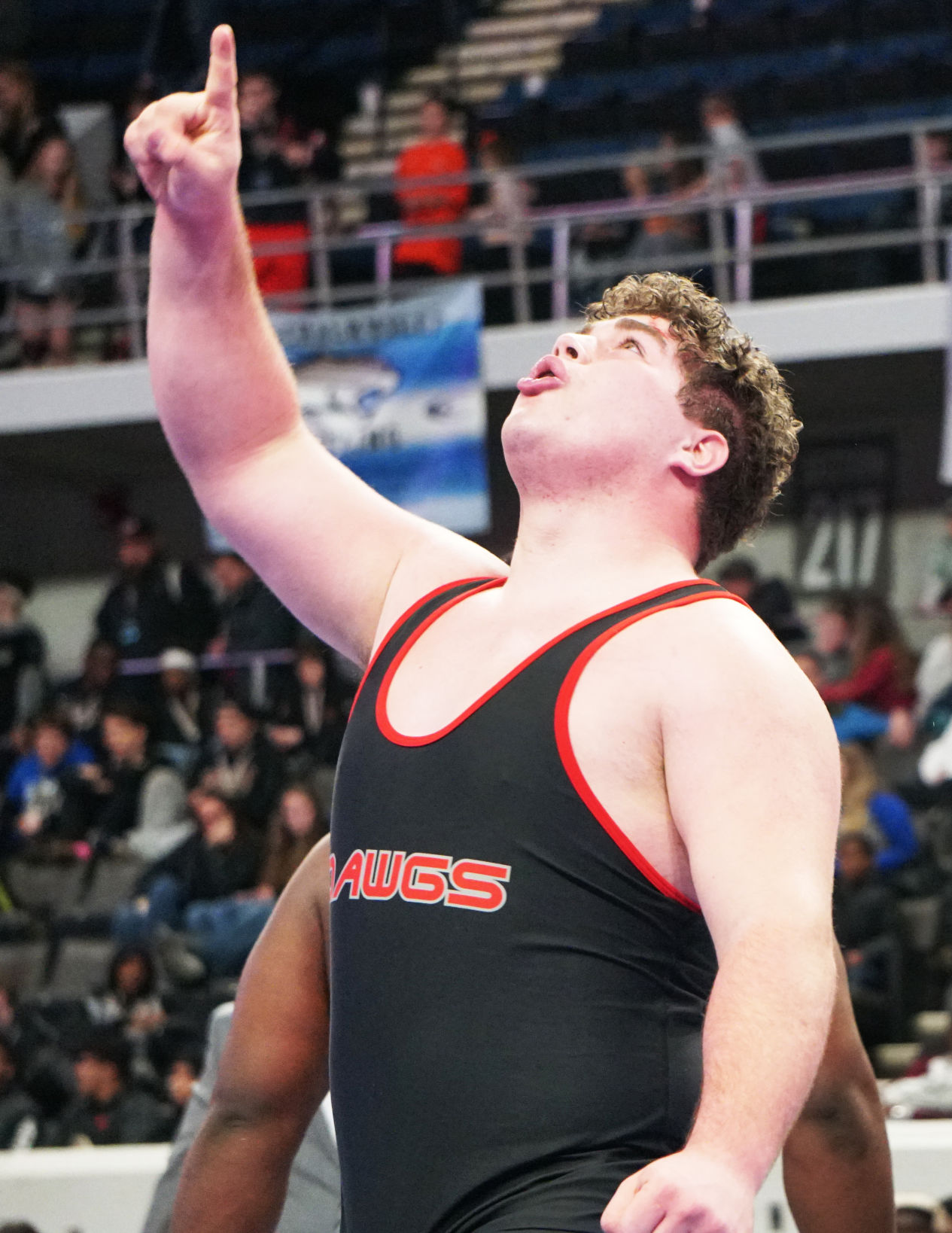 AHSAA Wrestling Championships